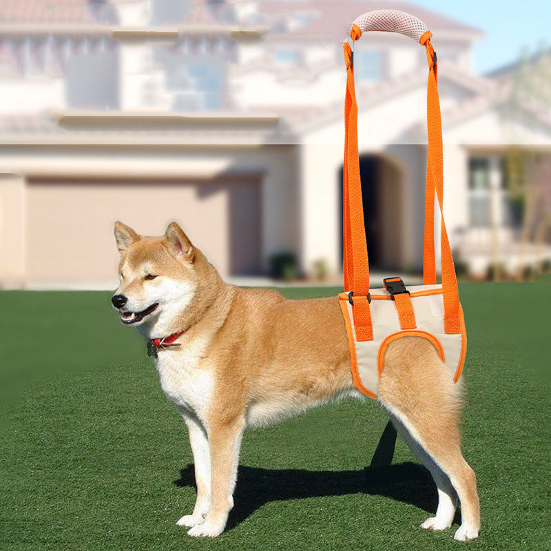 SteadyPaws Dog Lift Harness