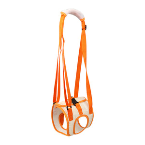 Free SteadyPaws Harness